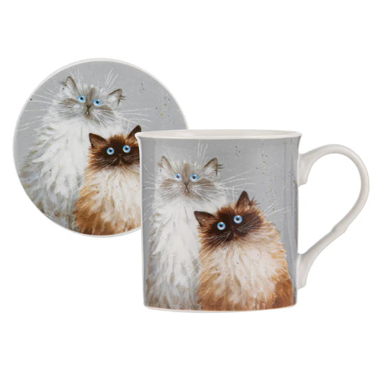 Ashdene Kim's Cats Collection Mug & Saucer | Sully & Bucky