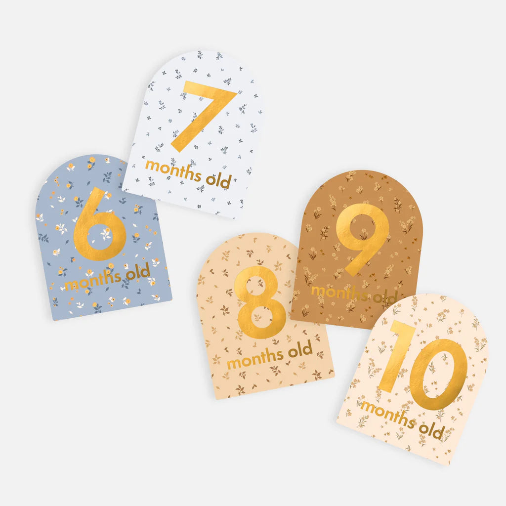Fox & Fallow Baby Milestone Cards | Broderie