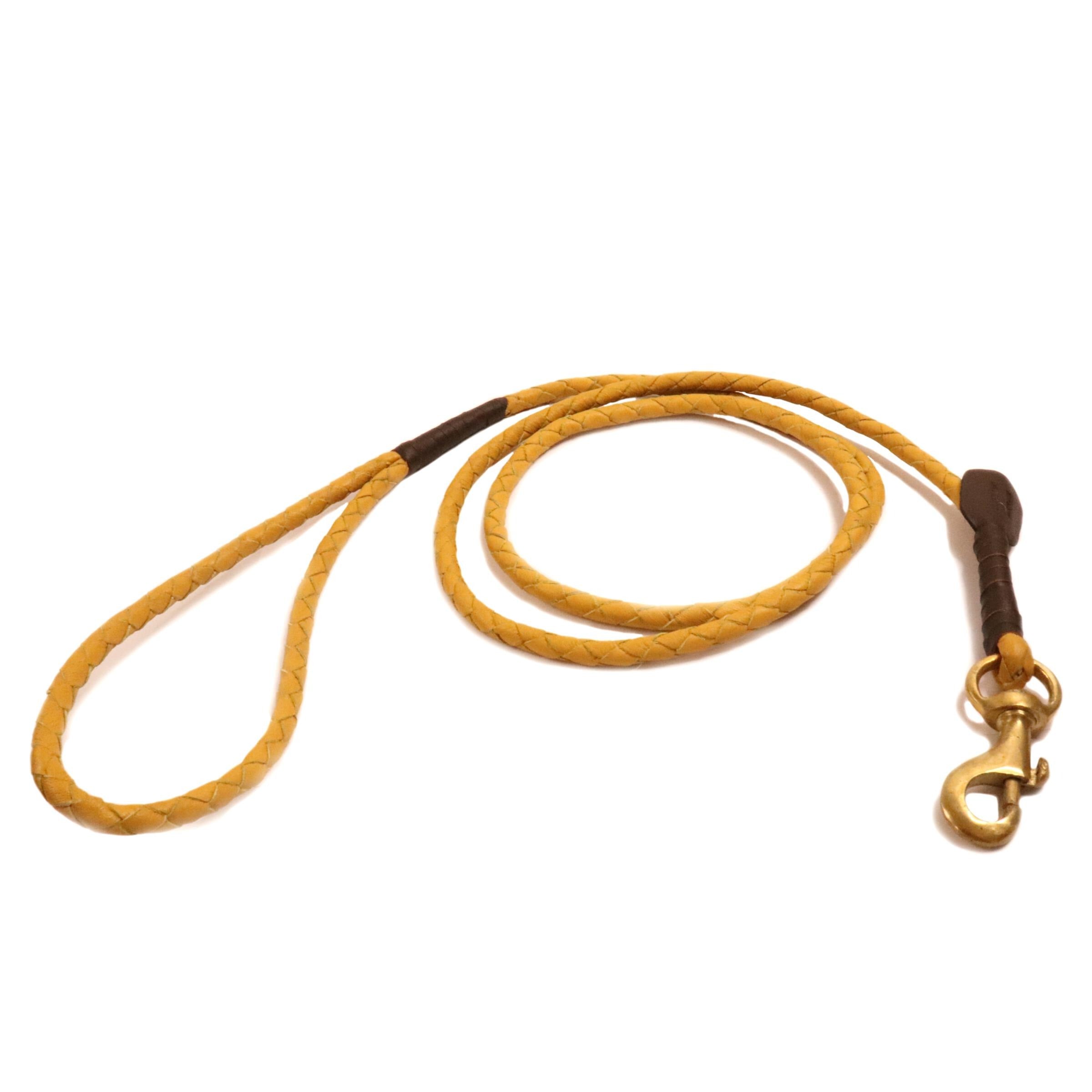 Dog Windsor Lead | Wheat