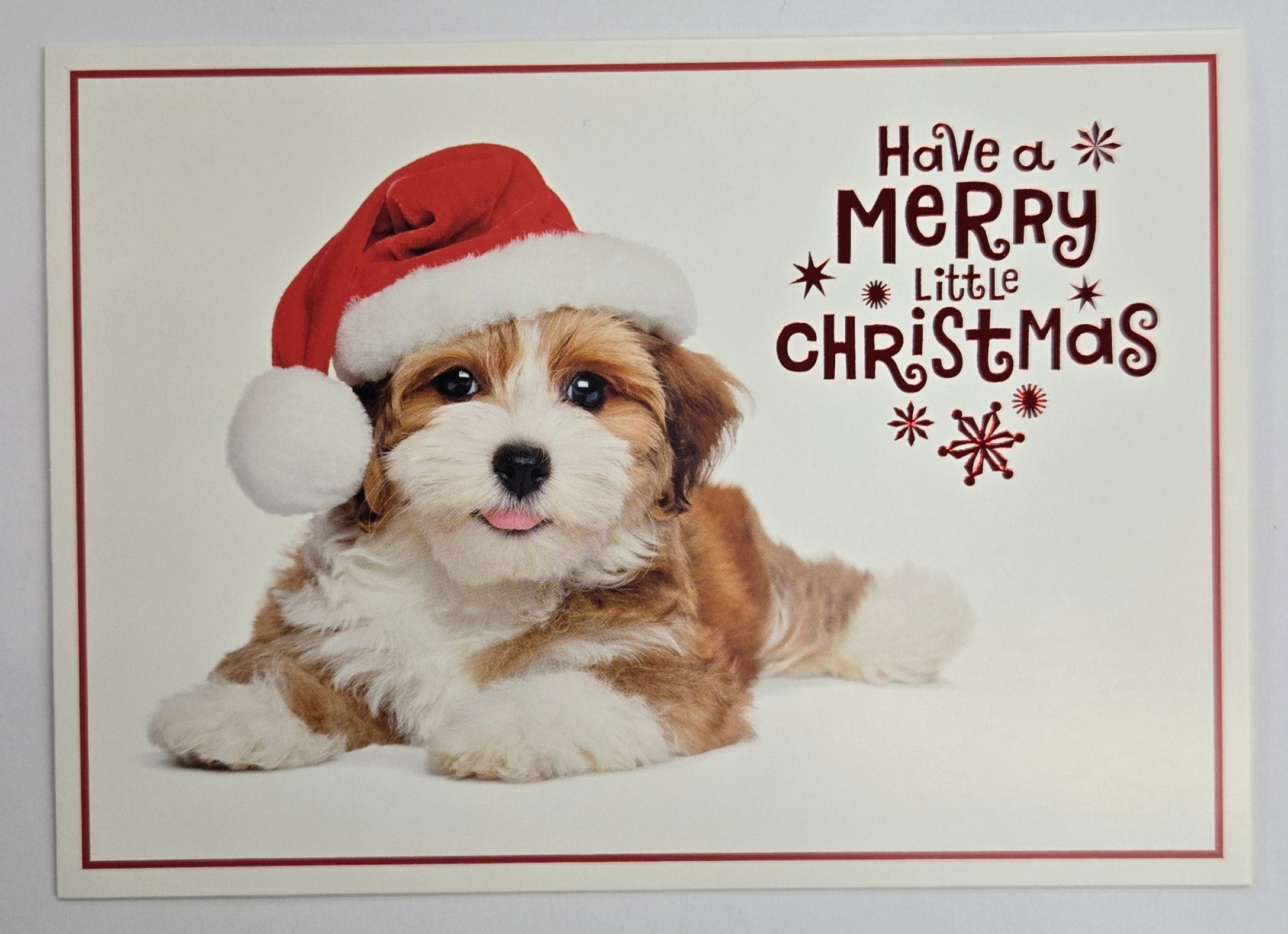 Hallmark 2025 Christmas Boxed Cards | Dog