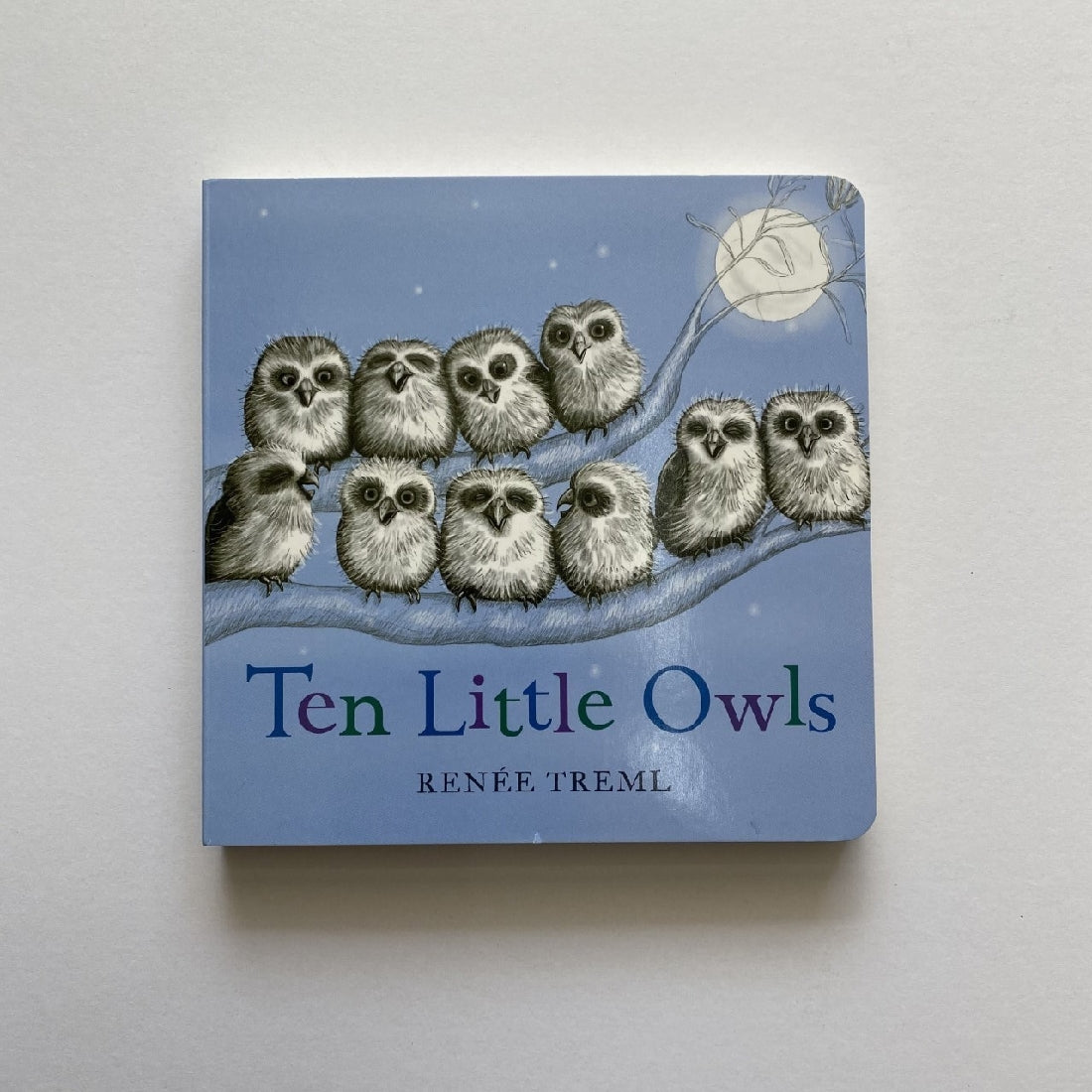 Ten Little Owls