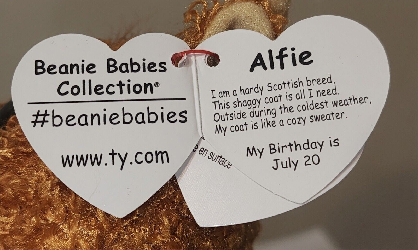 Beanie Boos Regular | Alfie the Brown Highland Cow