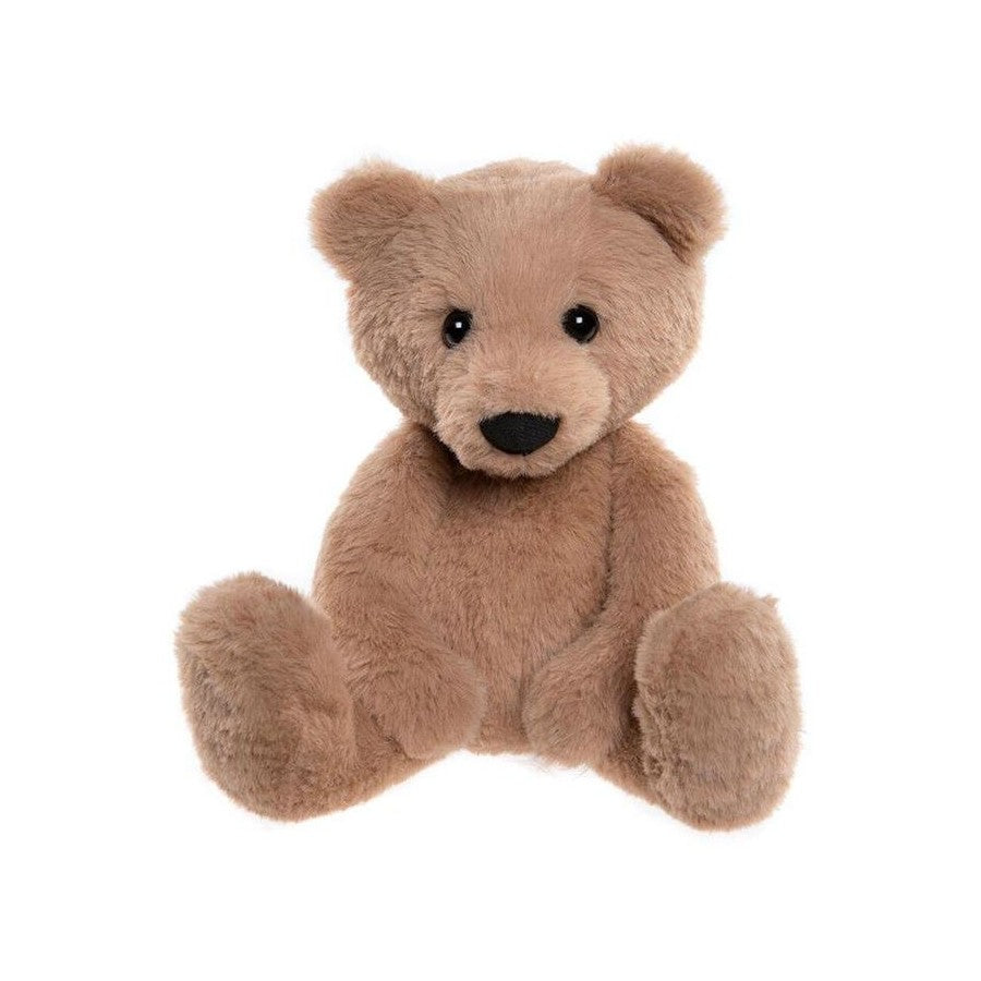 Brown teddy bear on a white background