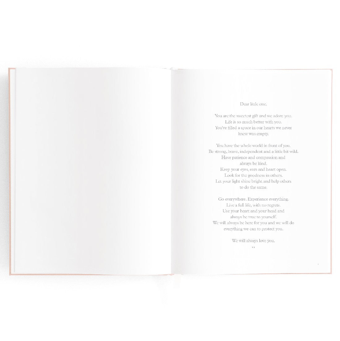 Baby Book 0-6 Years Rose
