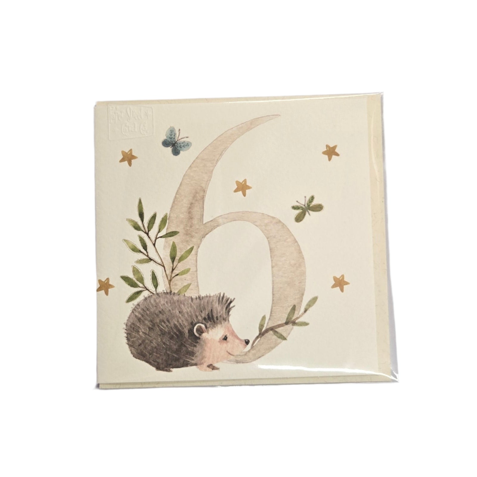 Card Birthday Age 6 Hedgehog