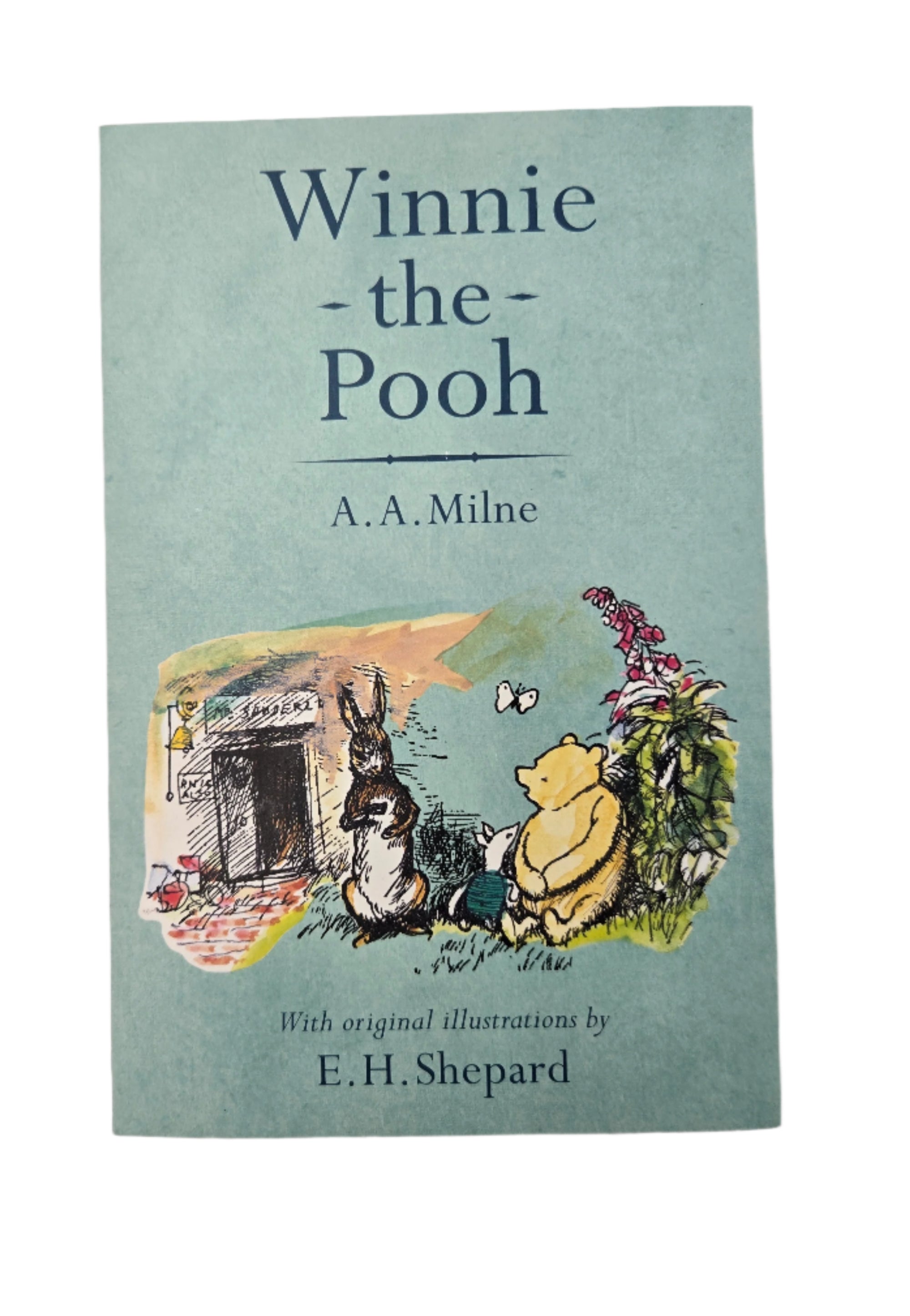 Winnie the Pooh Classic Book