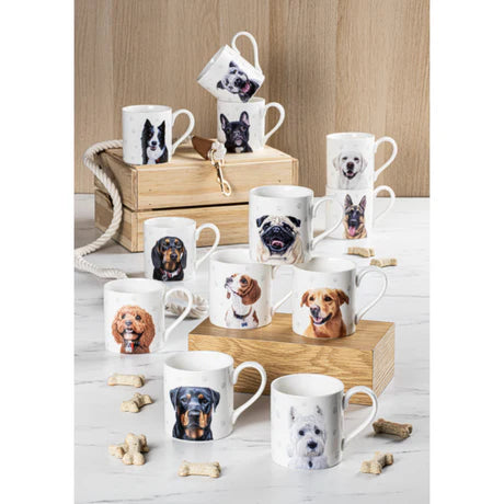 Ashdene Paws & All Mug | Border Collie