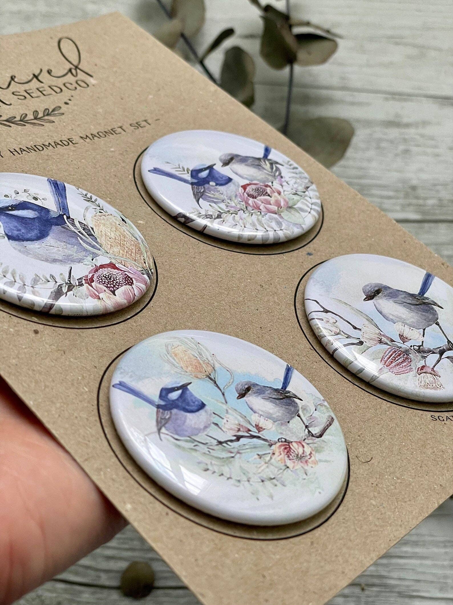 Superb Fairy Wren Large Magnets set of 4