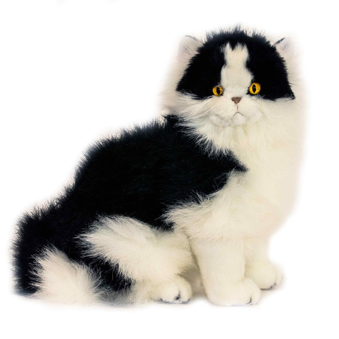 Cat | Black and White Piebald Pegasus