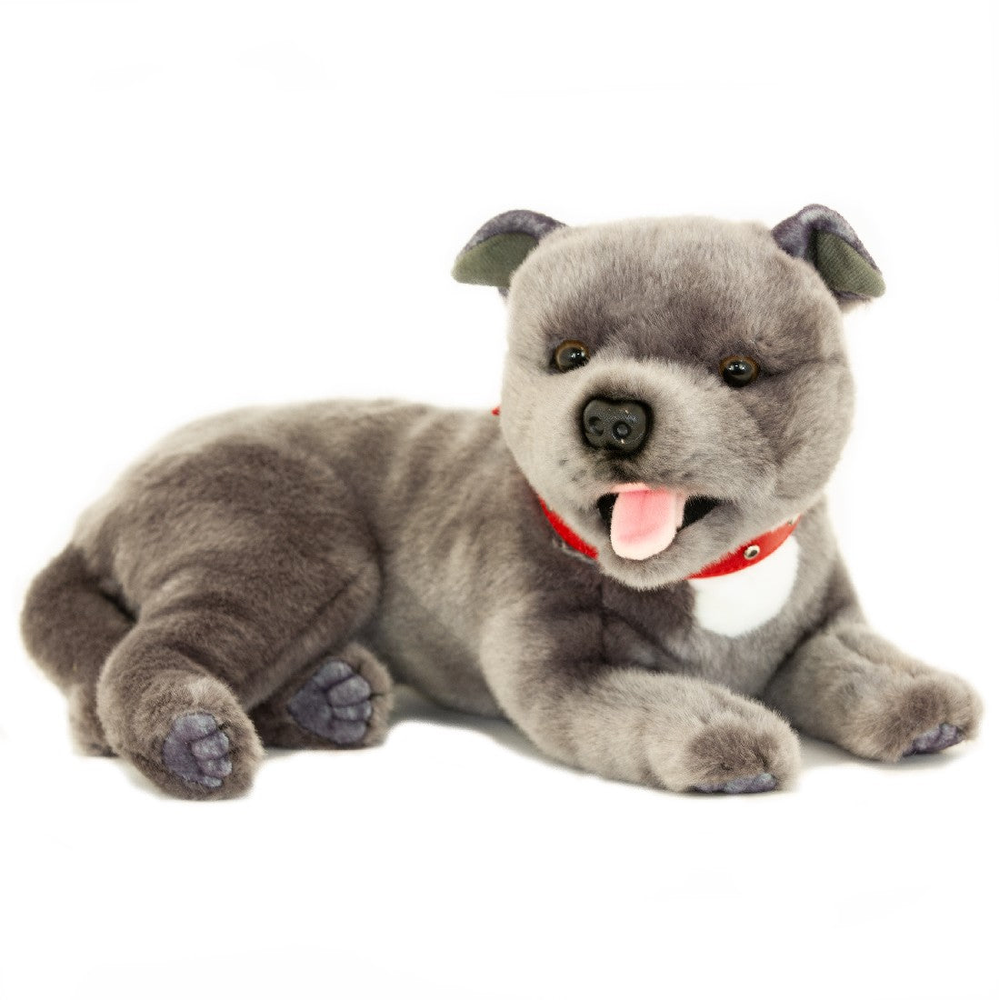 Dog Staffordshire Bull Terrier Flint