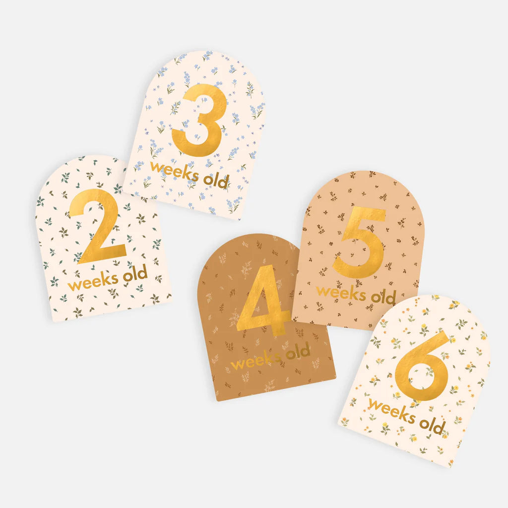 Fox & Fallow Baby Milestone Cards | Broderie