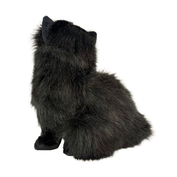 Cat | Black Crystal