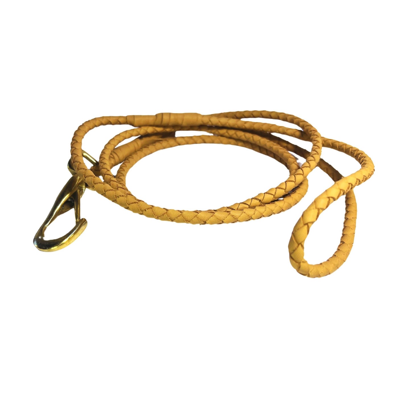 Dog LuLu Lead | Raw