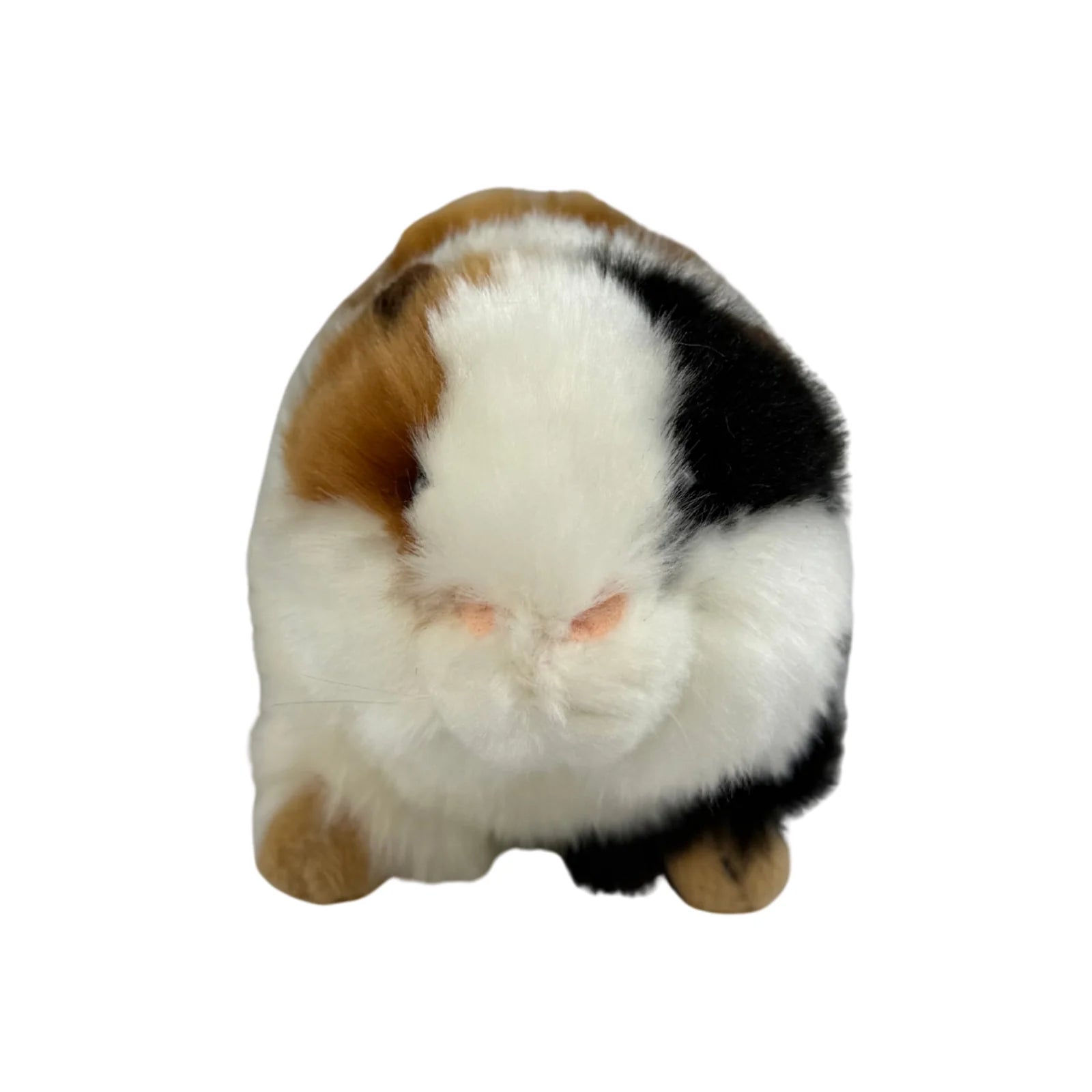 Guinea Pig | Mocca