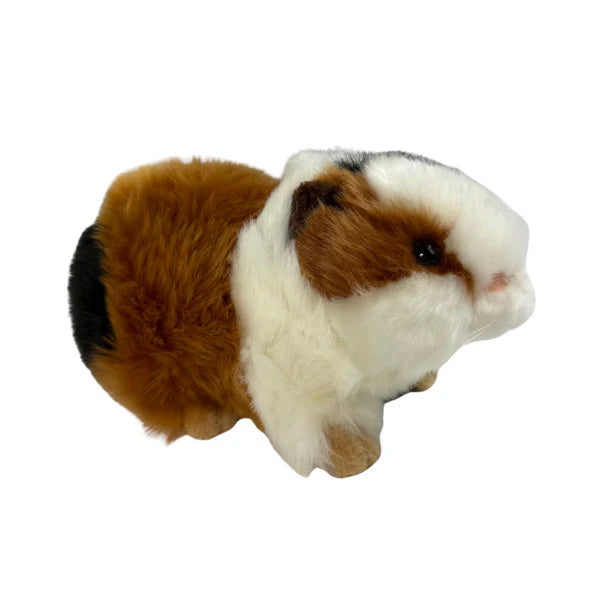 Guinea Pig | Mocca