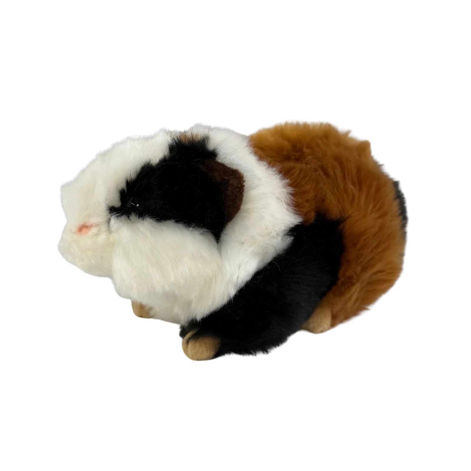 Guinea Pig | Mocca