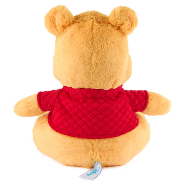Baby GUND Disney | Oh So Snuggly Pooh Bear