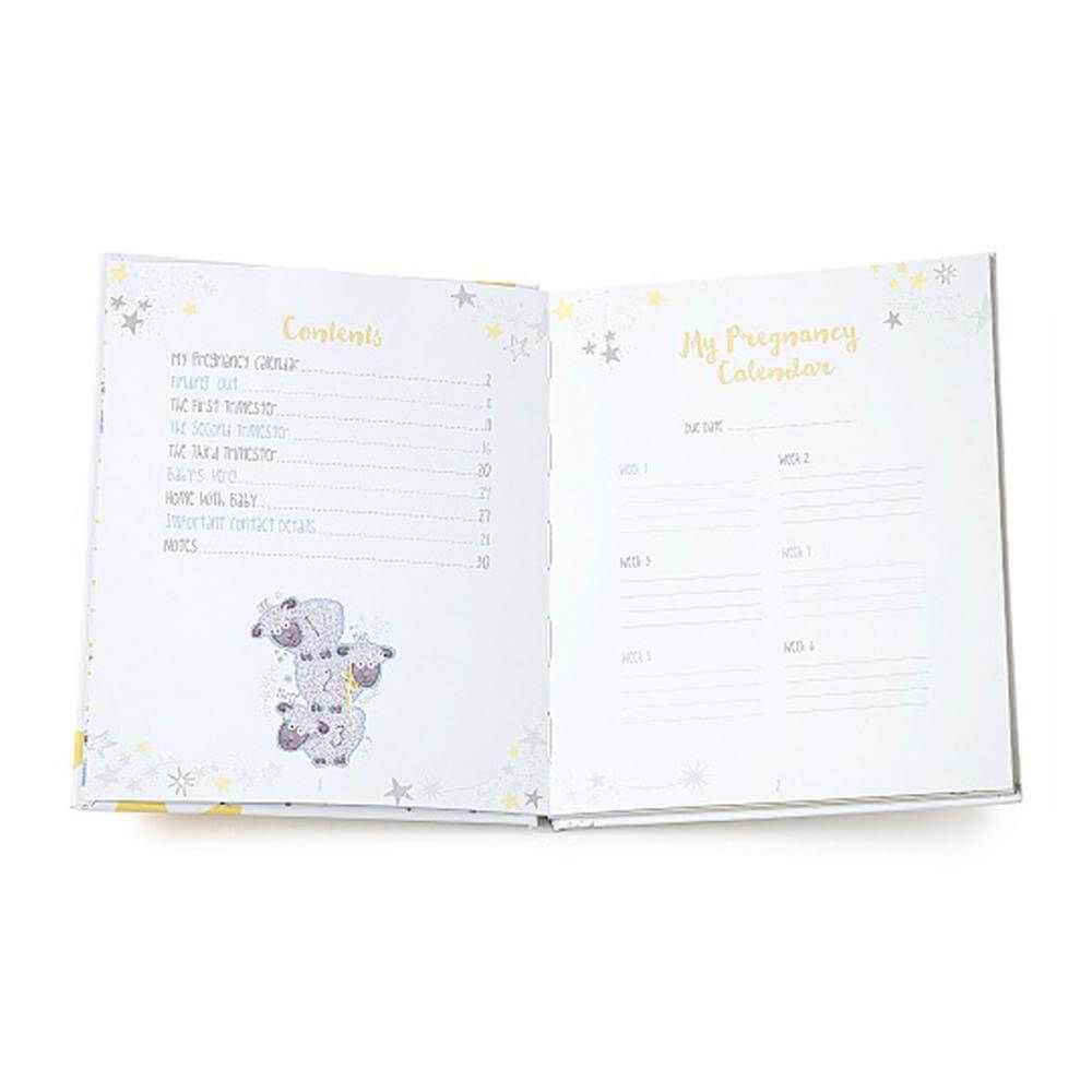 Tiny Tatty Teddy | Pregnancy Journal