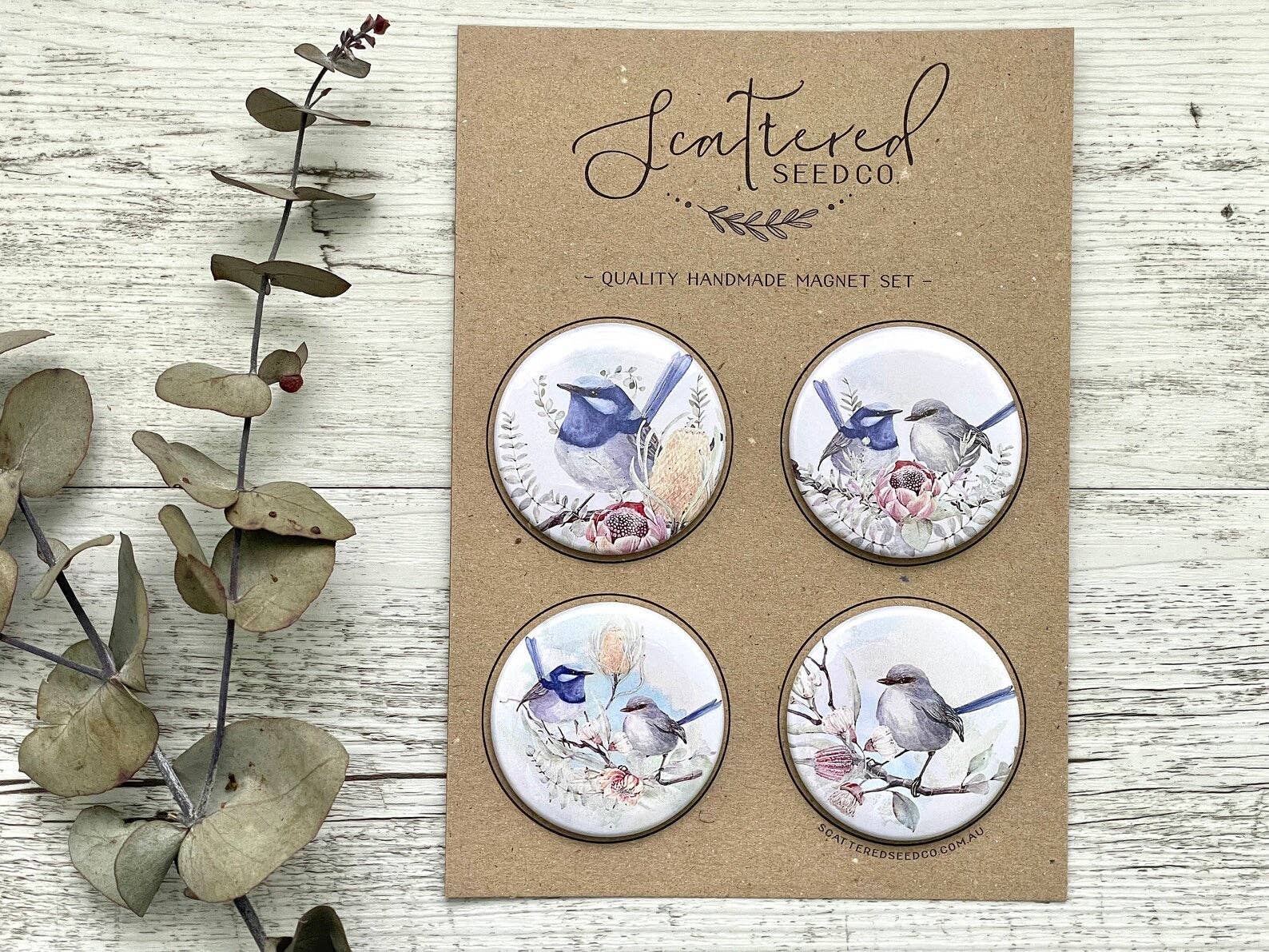 Superb Fairy Wren Large Magnets set of 4