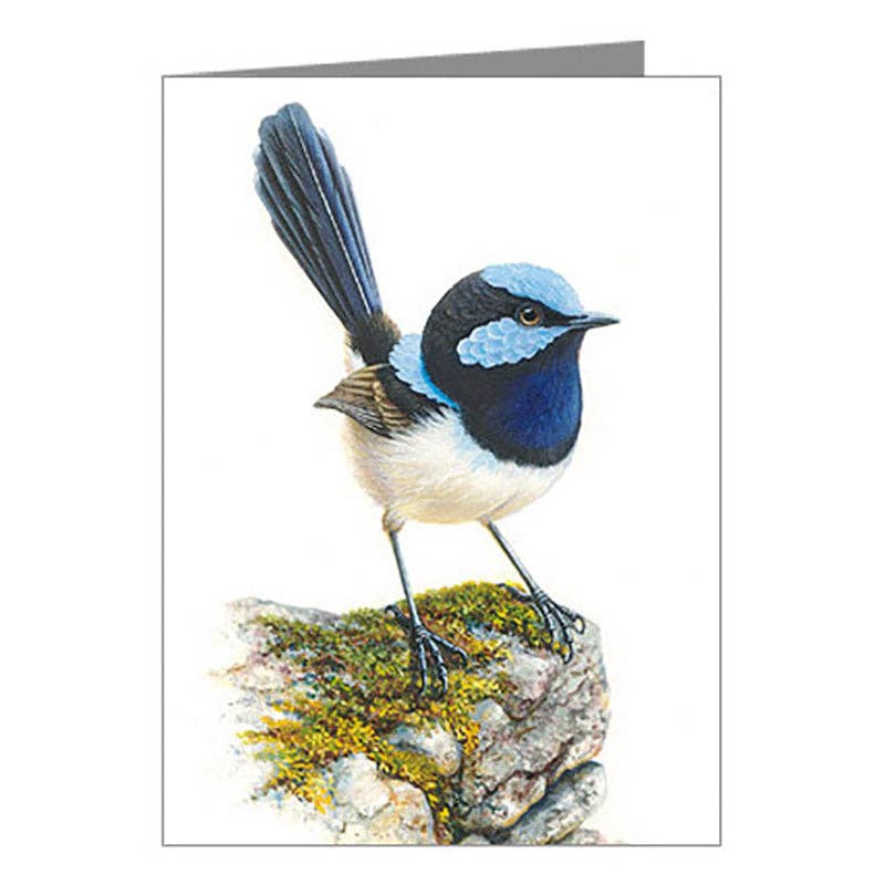 Jeremy Boot Collections Blank Card | Blue Wren