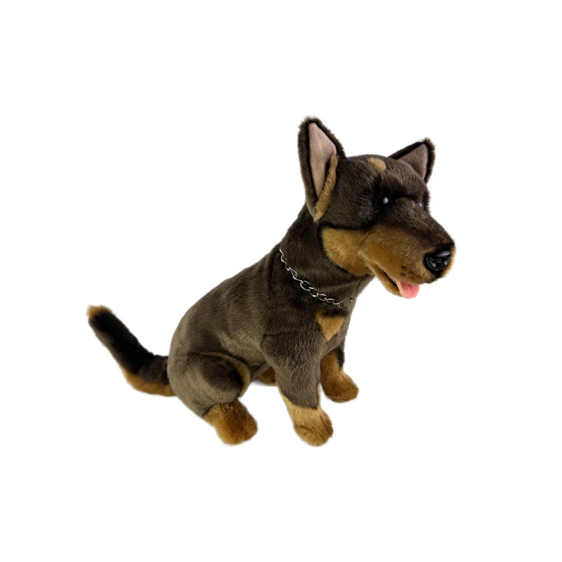 Dog Kelpie Cannon