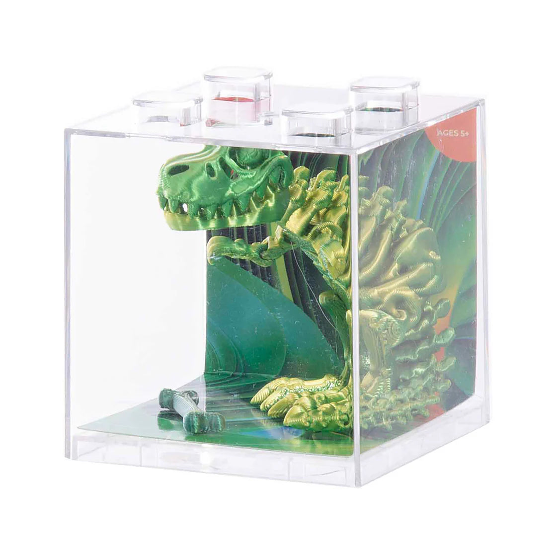 Discovery Zone 3D Sensory T-Rex