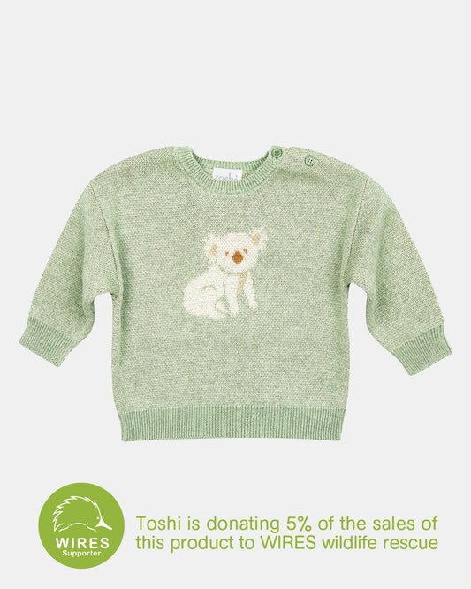 Toshi Organic Pullover Storytime | Koala