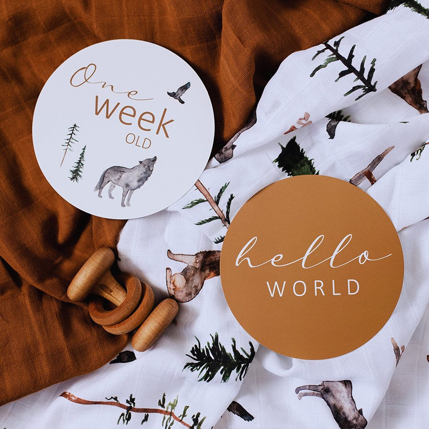 Snuggle Hunny Milestone Cards | Alpha & Bronze