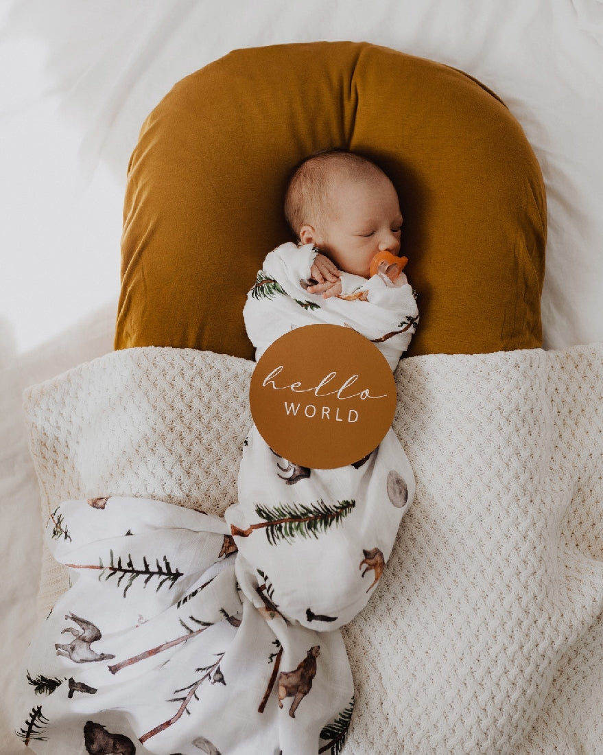 Snuggle Hunny Milestone Cards | Alpha & Bronze