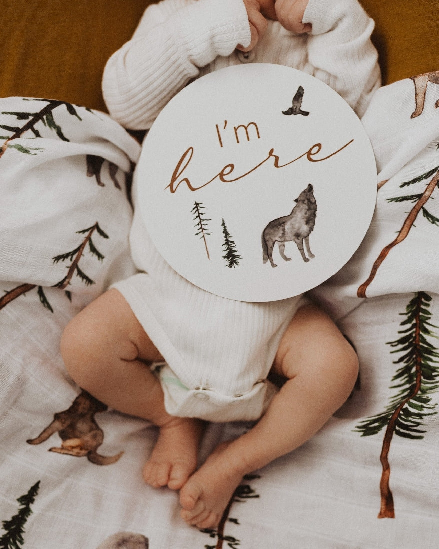 Snuggle Hunny Milestone Cards | Alpha & Bronze