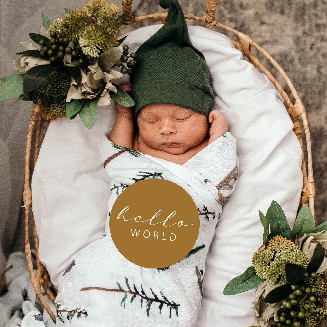 Snuggle Hunny Milestone Cards | Alpha & Bronze