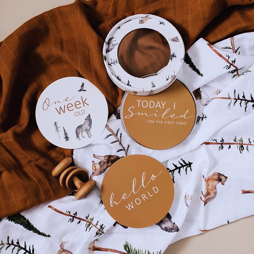 Snuggle Hunny Milestone Cards | Alpha & Bronze