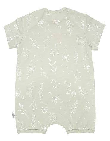 Toshi Onesie S/S | Dandelion Short Sleeve