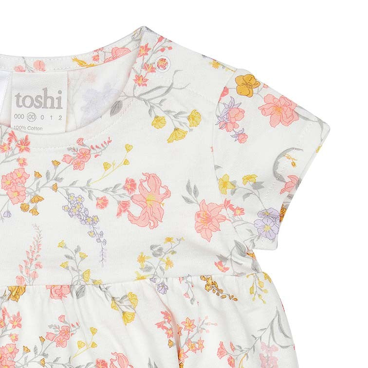 Toshi Knit Dress Classic Short Sleeve | Isabelle