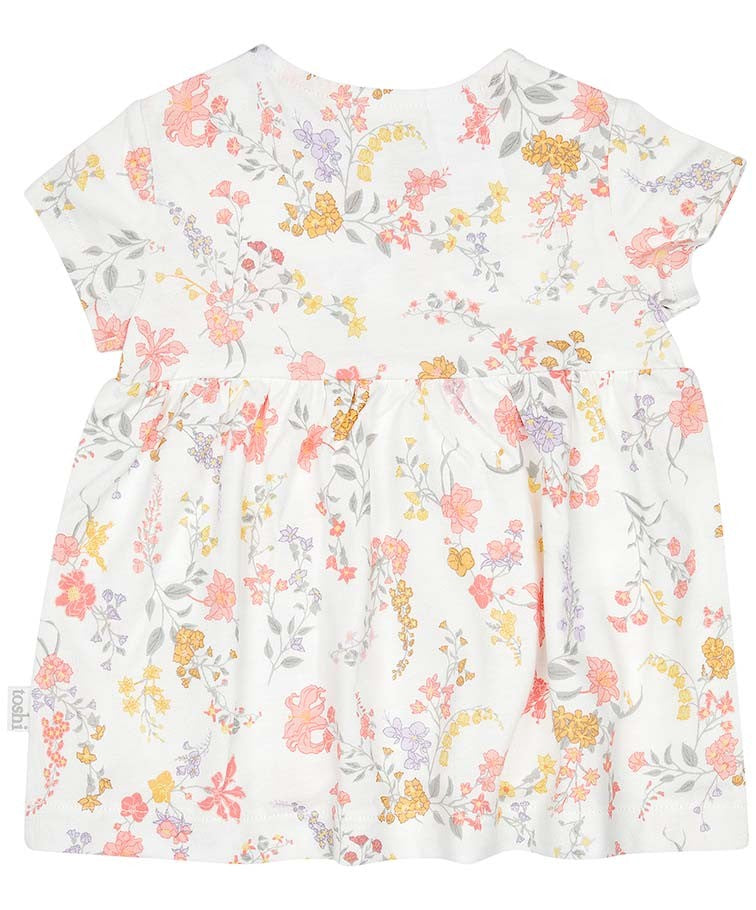 Toshi Knit Dress Classic Short Sleeve | Isabelle