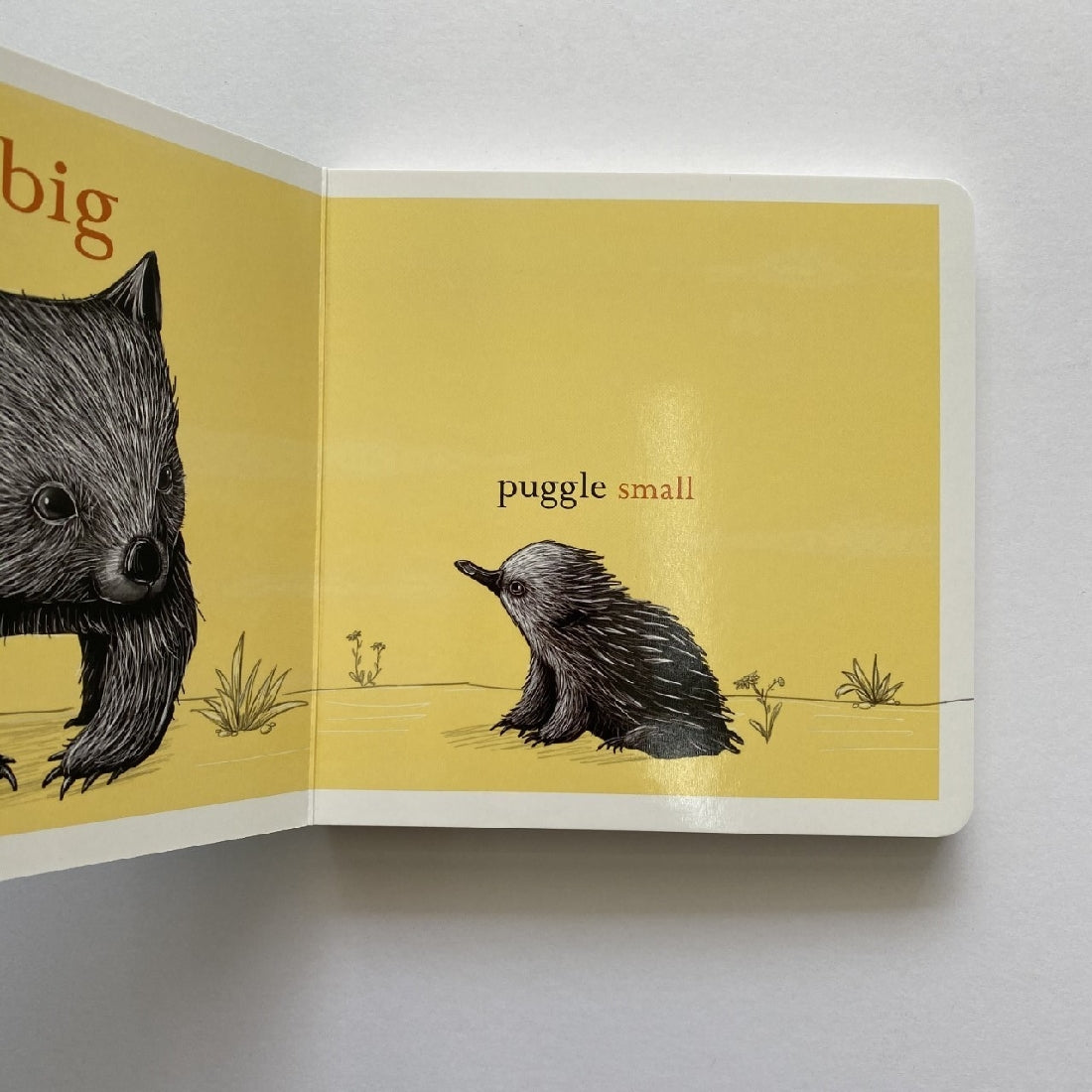 Wombat Big, Puggle Small